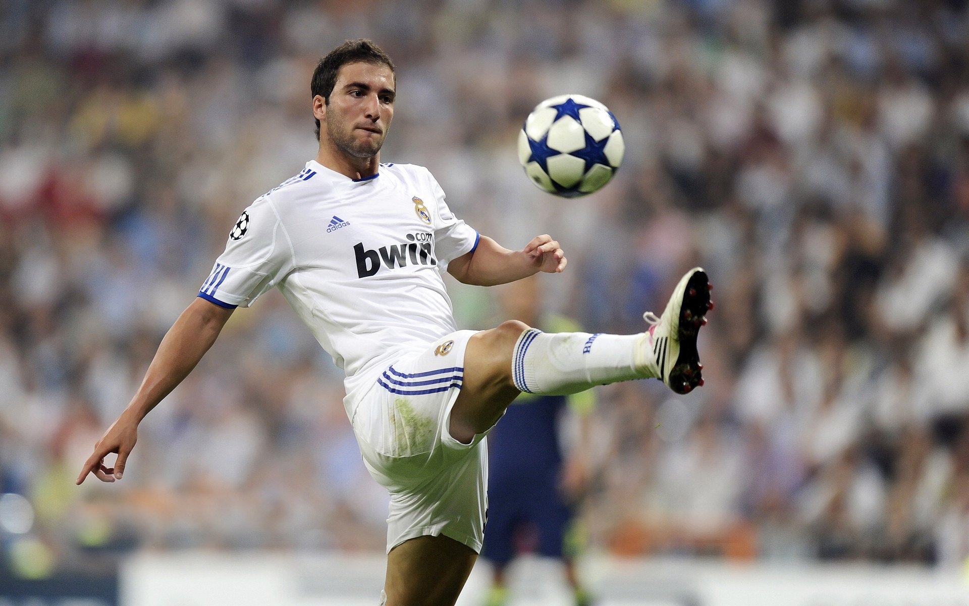 全国柔道冠军赛男子100公斤以上级 辽宁“巨无霸”强势一本夺金